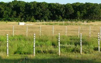 Photo of two 20-meter-diameter BioCON study rings each with two-meter by two-meter plots.