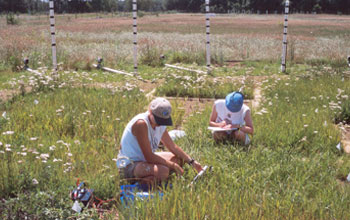 Photo of Tali Lee with student intern Ann Karpinski taking measurements of plant response to CO2.