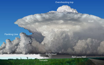 illustration showing the components of a supercell thunderstorm