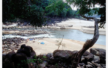 Photo of a large sand bank at the mouth of the Foulakari River.