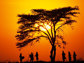 Maasai tribe in Kenya. Example of a large group with maintained cooperation.