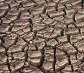 Cracked, dry earth