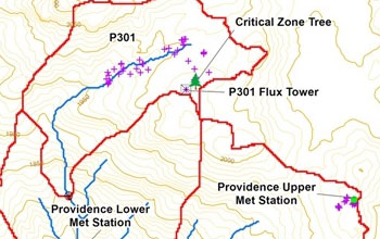 Topographic map showing the location of the Critical Zone Tree.