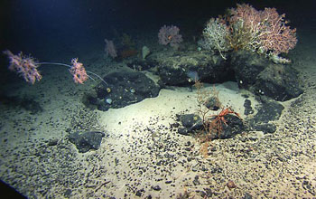 Photos of rocks made of basalt on and under the ocean bottom.