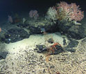 Photos of rocks made of basalt on and under the ocean bottom.