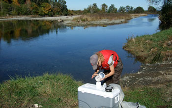 Photo of Carly Strasser collecting copepods in an estuary in the Pacific Northwest.