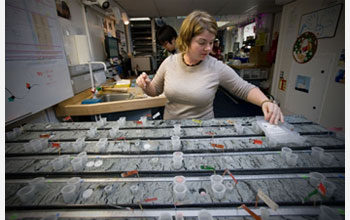 Aboard the JOIDES Resolution, Stacie Blair collects sediment samples from a core.
