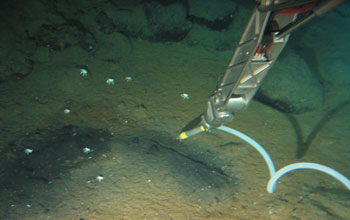 Photo of Alvin's manipulator arm and sampling device.