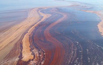 Photo of an oil slick in the Gulf.