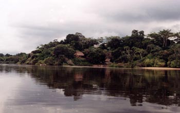 Photo of river dwellings on the Iriri River in the Brazilian Amazon.