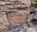 Photo of a rock outcrop in northern Oman that contains evidence of fossil demosponges.