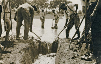 Worker men in the southern U.S. in the 1920s dig a drainage ditch to control mosquitoes.
