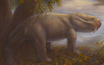 showing an artist depiction of Dicynodon