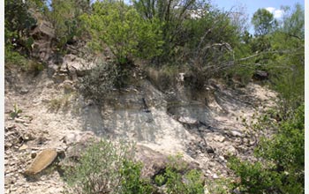 Photo of sediments that show that the Chicxulub meteorite predated the mass extinction.