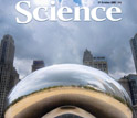 the cover of the October 31, 2008 edition of Science, featuring a large sculpture.