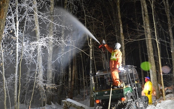 two people spraying trees in a forest