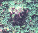 Photo of a gap in the forest canopy with contours superimposed on the image.