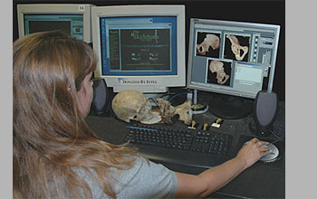photo of UTCT lab assistant, reviewing anatomy of the human pelvis for correct labeling