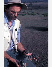 Photo of John Kappelman holding fossilized teeth