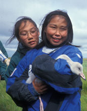 Photo of two Eskimo students holding a tundra swan.