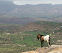 Photo of highlands of Ethiopia