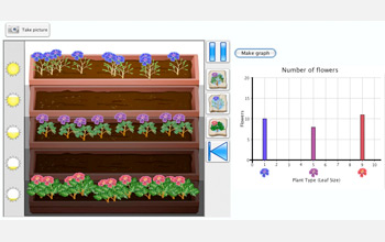 Computer screen capture showing which types of plants grow in which flowerboxes.