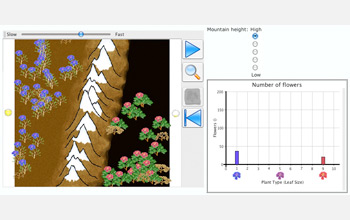 Computer screen capture showing that different plants can evolve from the same common ancestor.