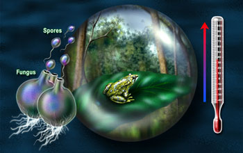 Forg and forest in a sphere with a fungus, spores and thermometer with rising temperature outside.