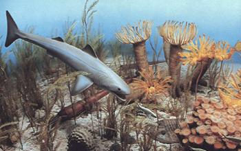 Illustration showing the ocean during the Devonian.