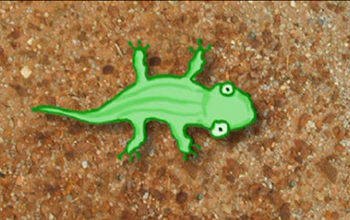 Illustration of a lizard that has not changed color to match its background, yet