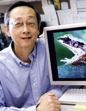 Albert Feng with a photo of a Chinese concave-eared torrent frog