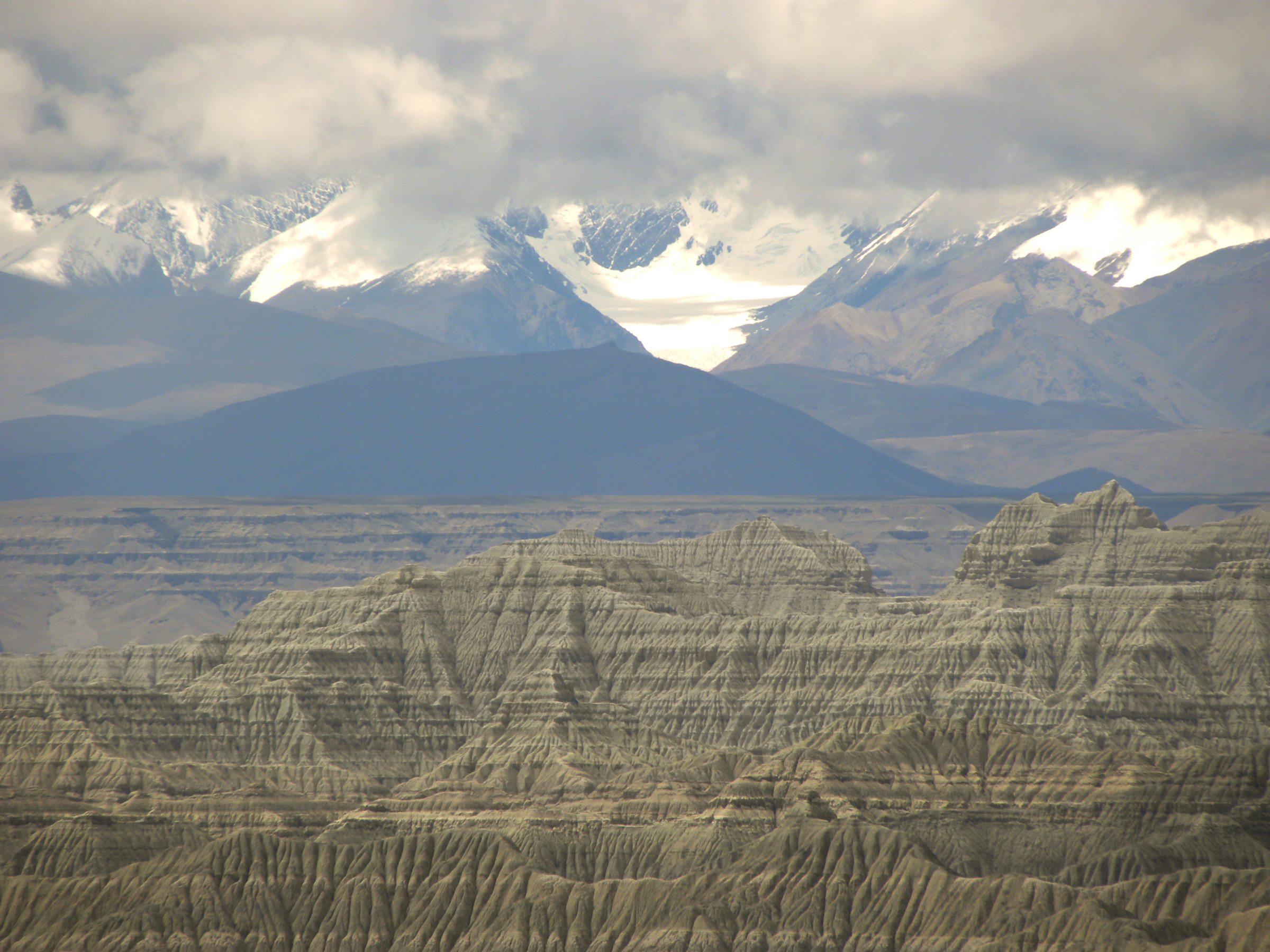 Rich and well-preserved vertebrate fossils were recently discovered in Zanda Basin exposures.