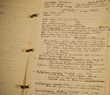 Photo of notes from a 1955 Scripps Institution of Oceanography ichthyology field expedition.