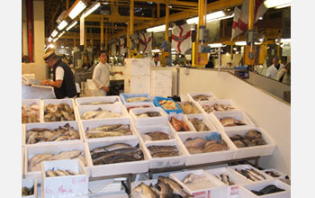 Photo of Billingsgate Market, the largest U.K. fish market.