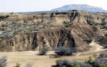 Formation near the town of Kibish, Ethiopia.