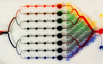 Photo of a microfluidic lab-on-a-chip platform used to analyze microalgae growth and behavior.