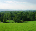 View of forests in and around Strafford, New Hampshire.