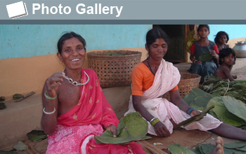 Photo of women sewing leaves and the words Photo Gallery.