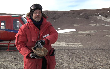 researcher in Antarctica