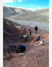 Photo of scientists looking for fossil evidence of Tiktaalik on Ellesmere Island, Canada.