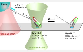 Transition state structure revealed by fluorescence-force hybrid technique.
