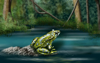 painting of a frog sitting next to water