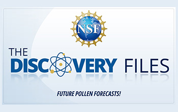 discovery files banner logo