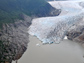 Aerial photo of new forests above the shrinking Mendenhall Glacier.