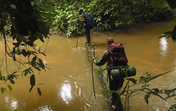 Students cross a storm-swollen river in Gabon.