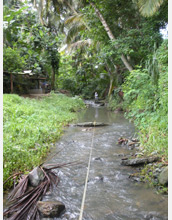 Photo of stream where Ashley Golphin and colleagues measured the reach from first to last riffle.