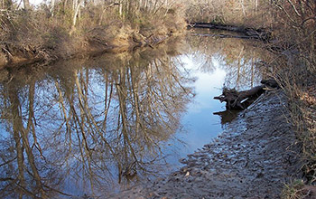 Photo of Christina River banks.