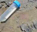 Photo of a vial containing water used to investigate ecosystem health.