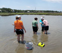 Photo of scientists sampling oysters and other shellfish in a Gulf Coast salt marsh.
