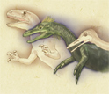 Illustration showing a comparison of dentition and arms of Allosaurus with two bird-like dinosaurs.